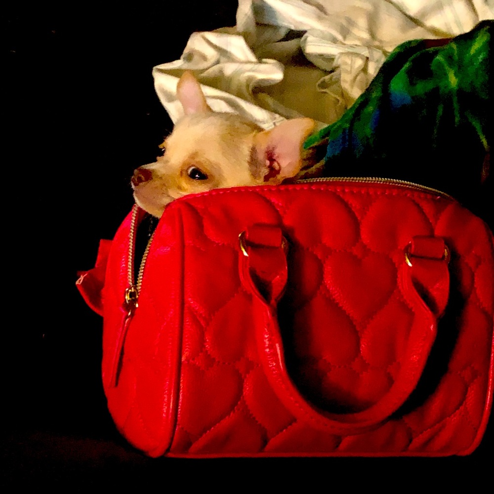 Super awesome buyer 💖💖💖 kind to all and ALWAYS sending good vibes!!💖💖💖